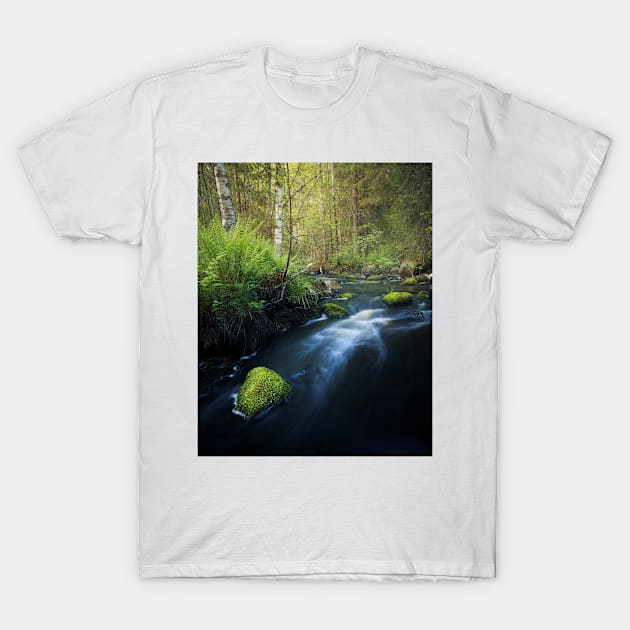 Dawn in the Forest T-Shirt by Juhku